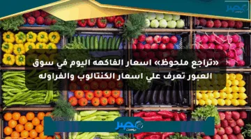 «تراجع ملحوظ» أسعار الفاكهة اليوم في سوق العبور تعرف على أسعار الكنتالوب والفراولة
